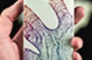 Skymember Presents Daily Life (Collector's Edition) Playing Cards by Austin Ho and The One – Image 3