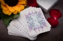 Skymember Presents Daily Life (Collector's Edition) Playing Cards by Austin Ho and The One – Image 4