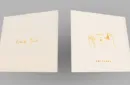 Card Magic Masterclass (Switches) by Roberto Giobbi - DVD – Image 10