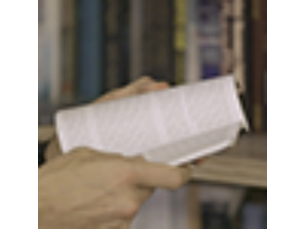 Words Beyond a Book Test by The Other Brothers - Trick