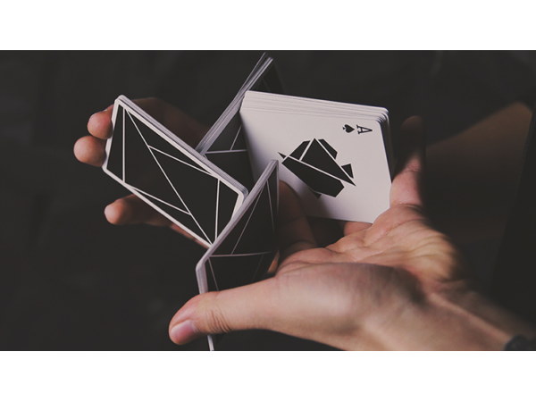 FLEXIBLE (Black) Playing Cards by TCC