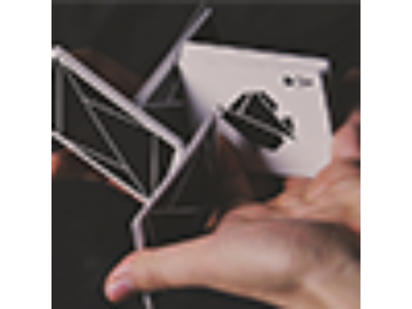 FLEXIBLE (Black) Playing Cards by TCC