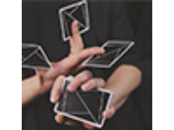FLEXIBLE (Black) Playing Cards by TCC