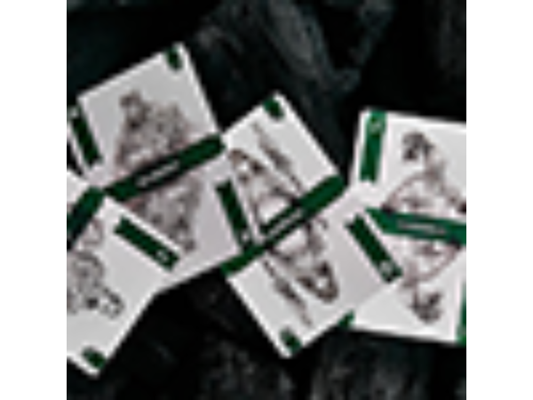 Guard Playing Cards by BOCOPO