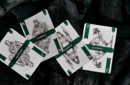 Httpswww magicshop chmediacatalogproductsisimple cardsguard 8 png