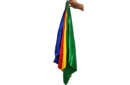Httpswww magicshop chmediacatalogproductsisimple flrbouqfrmsilk 2 png