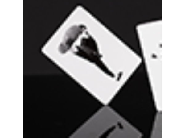 Official Bruce Lee Playing Cards