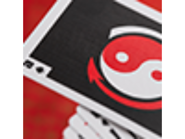 Official Bruce Lee Playing Cards