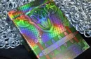 Fury Knight Playing Cards – Image 1