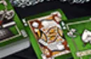 Fury Knight Playing Cards – Image 5