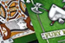 Fury Knight Playing Cards – Image 7