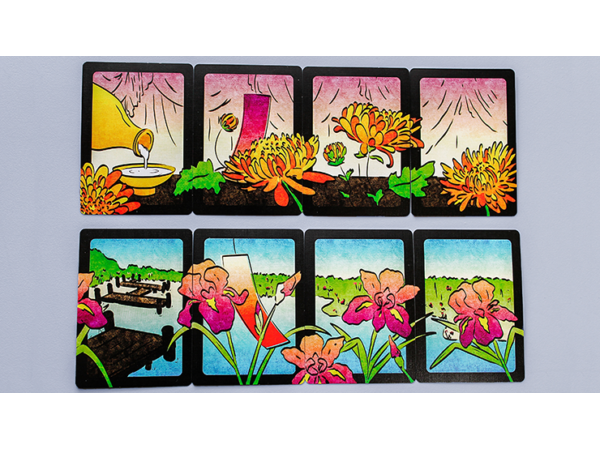 Hanami Hanafuda Playing Cards (Limited Edition)