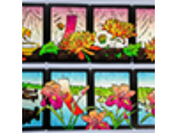 Hanami Hanafuda Playing Cards (Limited Edition)