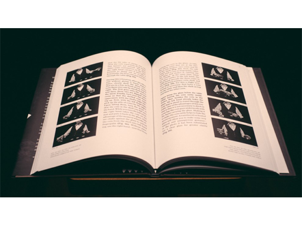 Coins and Other Fables by Luis Piedrahita - Book