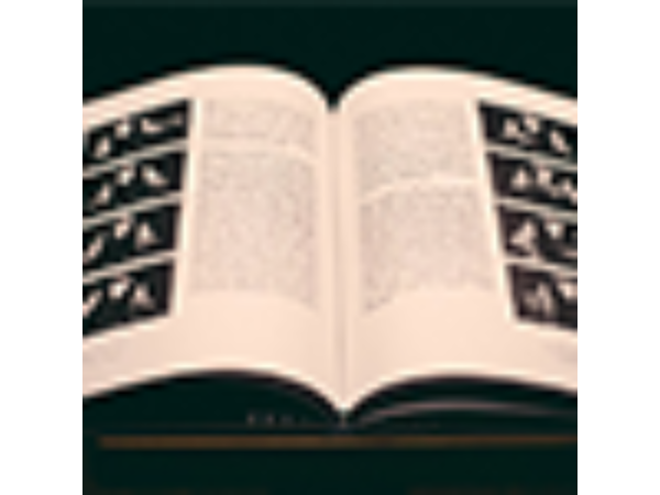 Coins and Other Fables by Luis Piedrahita - Book