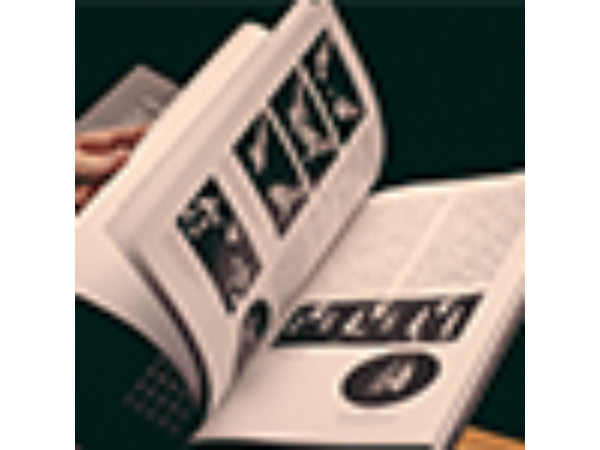 Coins and Other Fables by Luis Piedrahita - Book