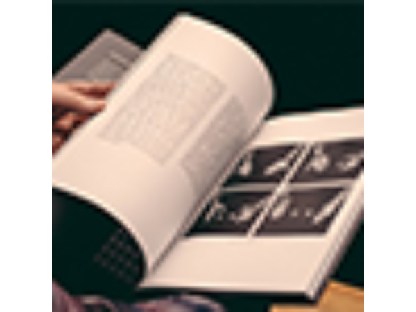 Coins and Other Fables by Luis Piedrahita - Book