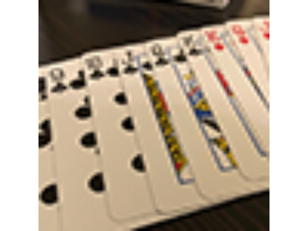 The Blind Wizard Deck Red Tally Ho Circle Back (Gimmicks and Online Instructions) by Don Boyer - Trick