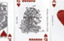Limited Edition Art of the Patent (Amusement) Playing Cards – Image 9