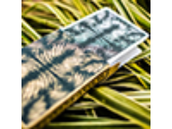 Livingstone Playing Cards by Pure Imagination