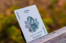 Livingstone Playing Cards by Pure Imagination – Image 4