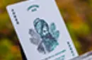 Livingstone Playing Cards by Pure Imagination – Image 5