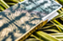 Httpswww magicshop chmediacatalogproductsisimple cardslivingstone 3 png