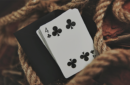 Httpswww magicshop chmediacatalogproductsisimple cardsdragonlord 10 png