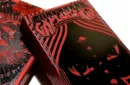 Explorers Playing Cards (Domination) by Card Experiment – Image 1