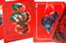 Explorers Playing Cards (Domination) by Card Experiment – Image 5