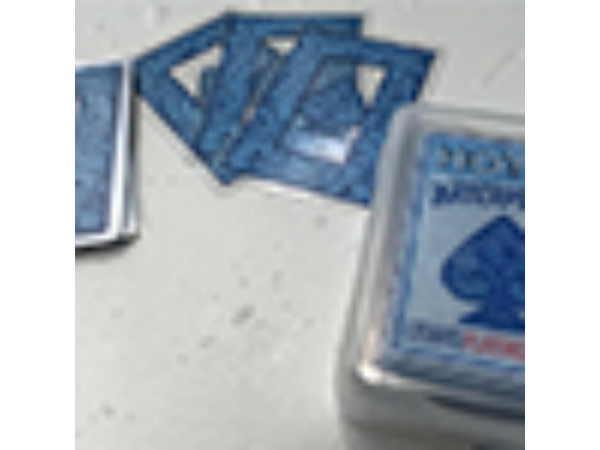 Hoyle Waterproof Playing Cards by US Playing Card