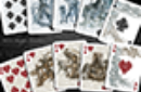 Httpswww magicshop chmediacatalogproductsisimple cardsheronat light 9 png