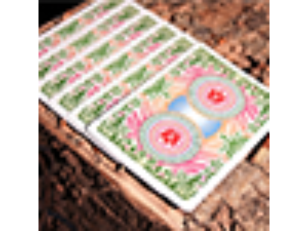 Bicycle Four Seasons Limited Edition (Spring) Playing Cards