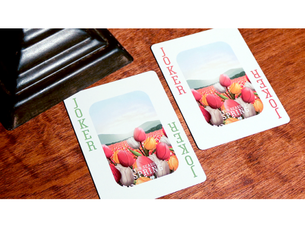 Bicycle Four Seasons Limited Edition (Spring) Playing Cards