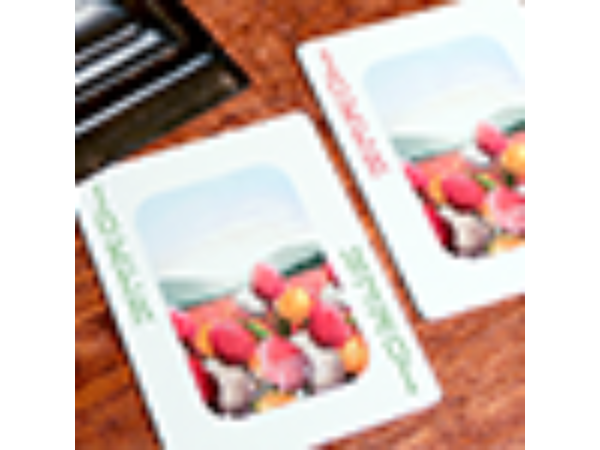 Bicycle Four Seasons Limited Edition (Spring) Playing Cards