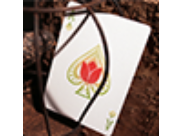 Bicycle Four Seasons Limited Edition (Spring) Playing Cards