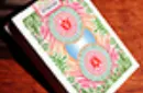 Bicycle Four Seasons Limited Edition (Spring) Playing Cards – Image 3