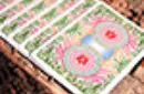 Bicycle Four Seasons Limited Edition (Spring) Playing Cards – Image 5