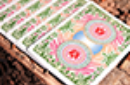 Httpswww magicshop chmediacatalogproductsisimple cardsbicfour spring 5 png