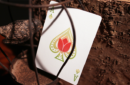 Httpswww magicshop chmediacatalogproductsisimple cardsbicfour spring 8 png