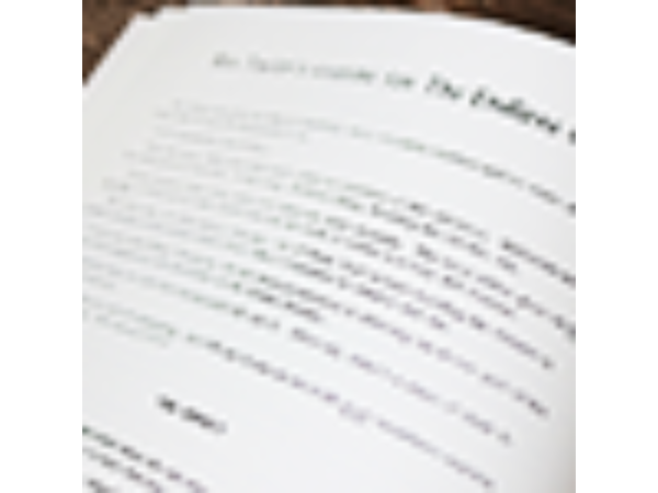 The Endless Chain by Lewis Ganson - Book