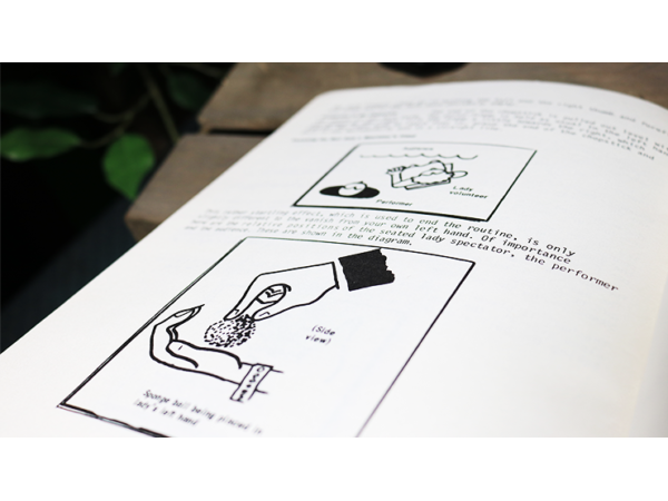 Stand-Up Sponges by Ken de Courcy - Book