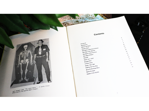 B-Witcheries by Jack Bridwell - Book