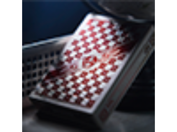 Queens Playing Cards