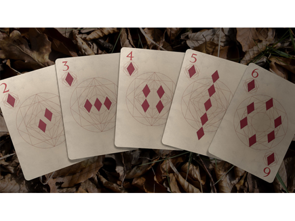 Bones (Rebirth) Playing Cards by Brain Vessel