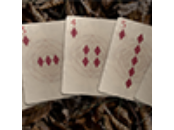 Bones (Rebirth) Playing Cards by Brain Vessel