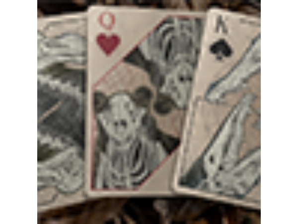 Bones (Rebirth) Playing Cards by Brain Vessel