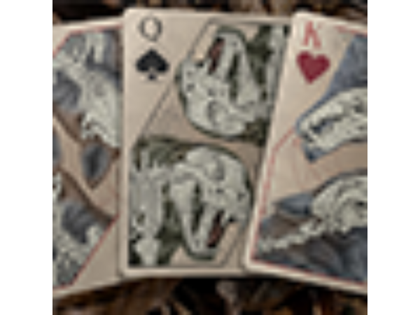 Bones (Rebirth) Playing Cards by Brain Vessel