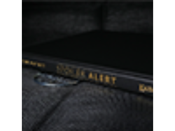 Spoiler Alert (Introduction by John Bannon) by Ryan Matney - Book