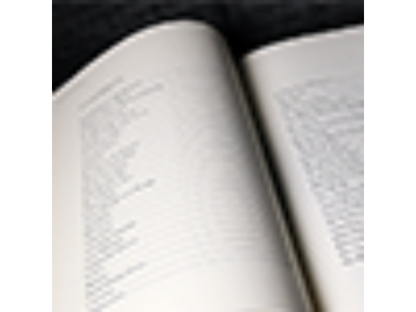 Spoiler Alert (Introduction by John Bannon) by Ryan Matney - Book
